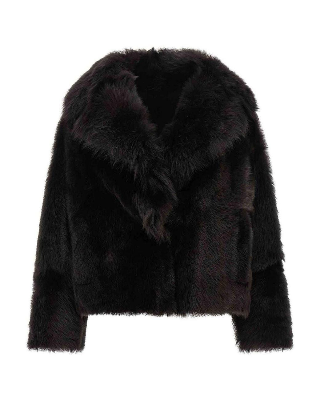 Blancha Black Toscana' Fur