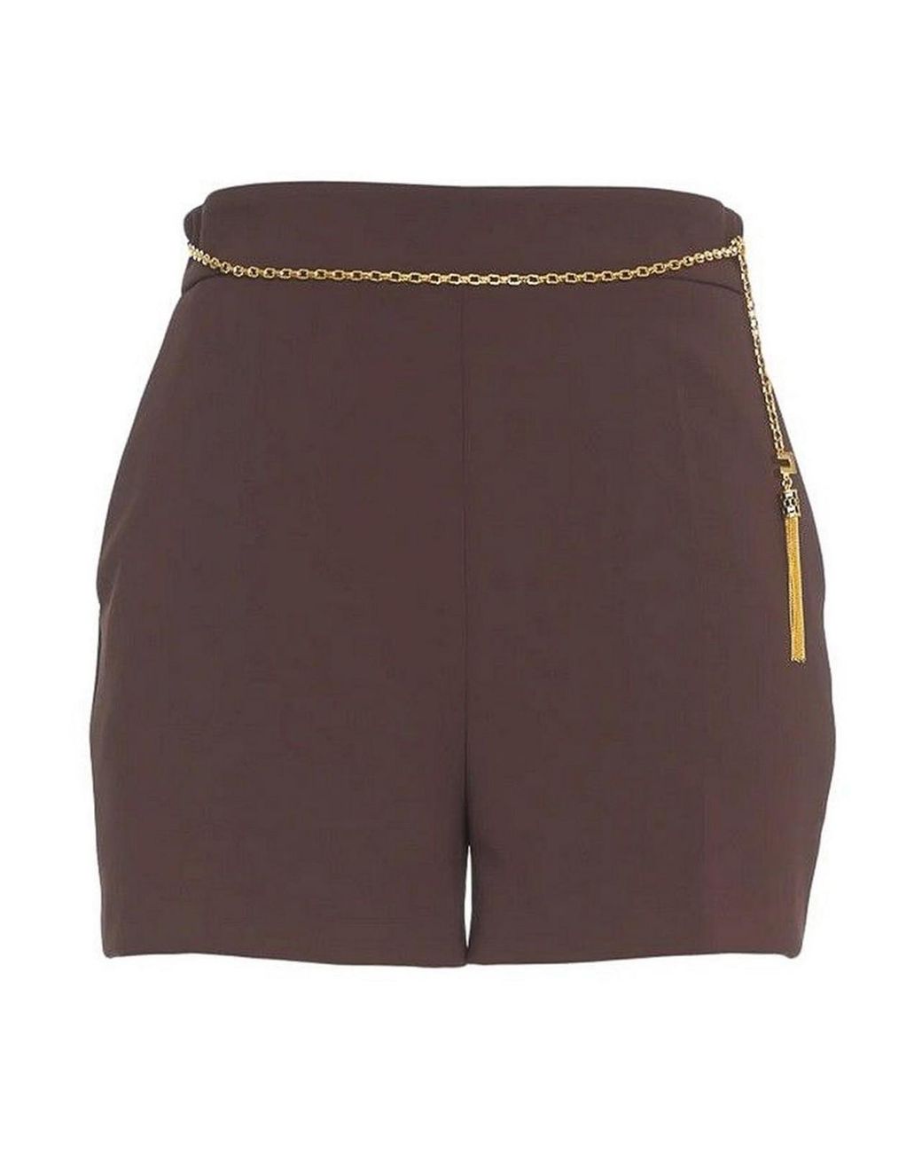 Elisabetta Franchi Brown Shorts