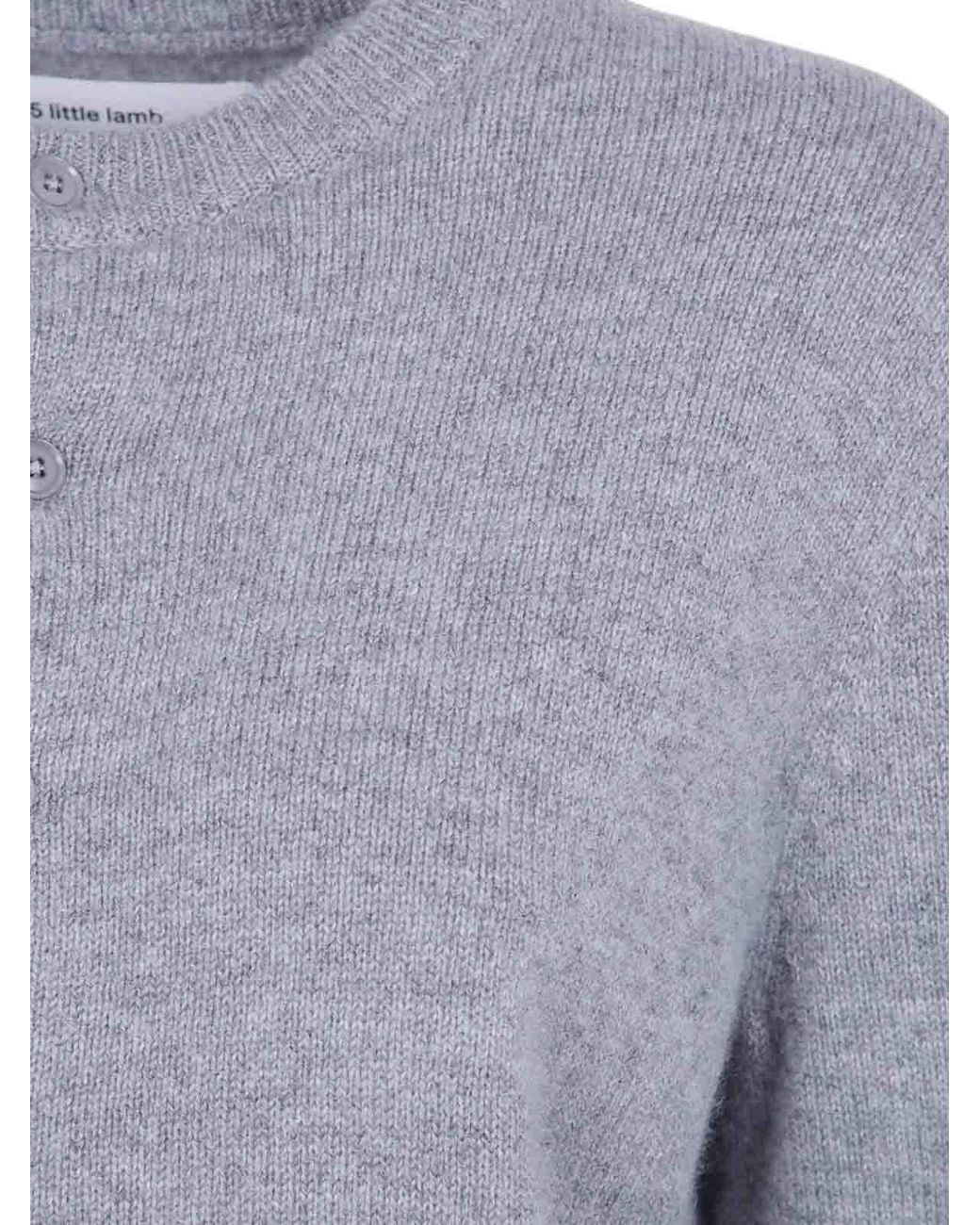Extreme Cashmere Blue Cardigan N300 Little2 Goat