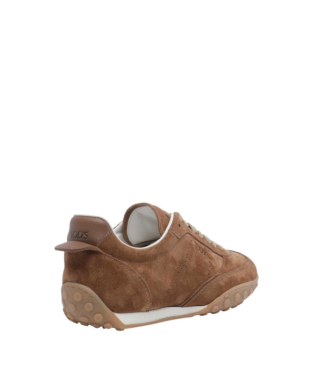 Baskets Tod's en coloris Brown