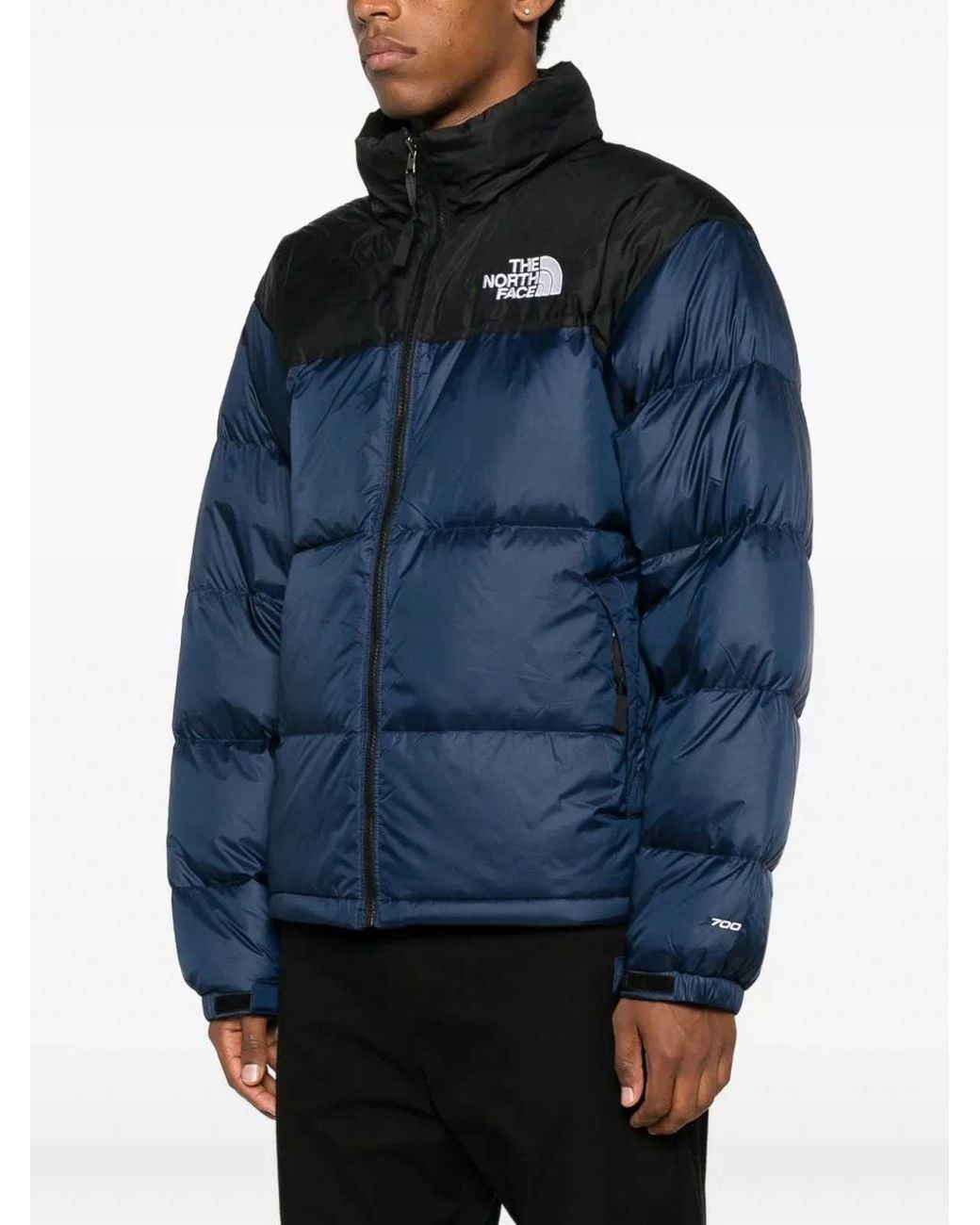 The North Face Blue Winter Jackets