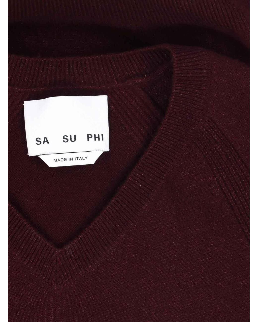 Sa Su Phi Purple Cashmere And Silk Sweater