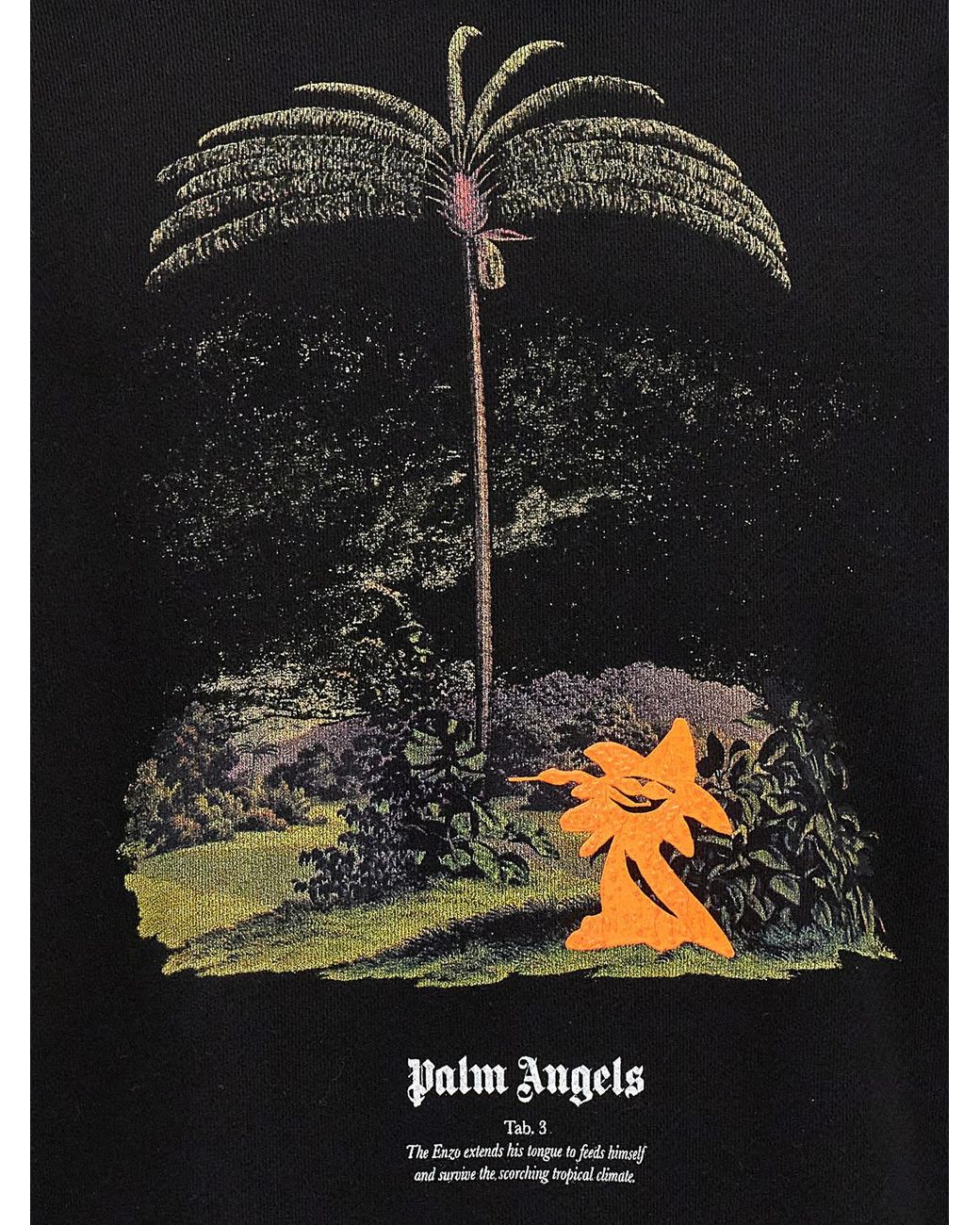 Palm Angels Black Enzo From The Tropics Hoodie for men