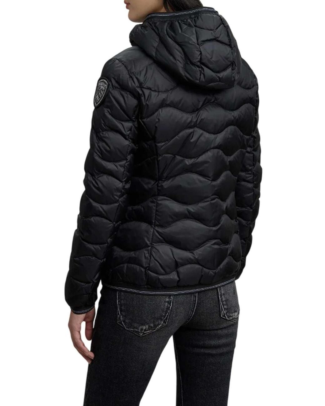 Blauer Black Jackets