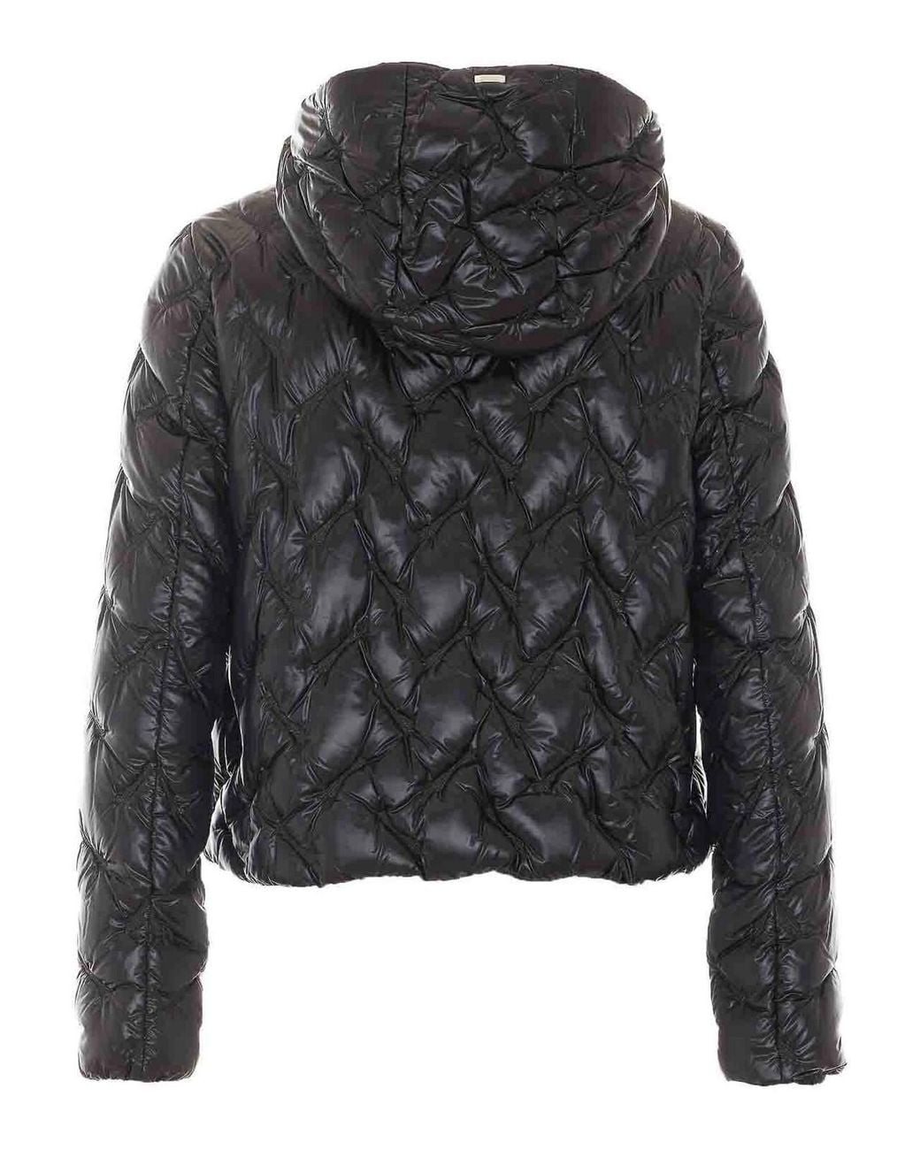 Herno Black Down Jacket