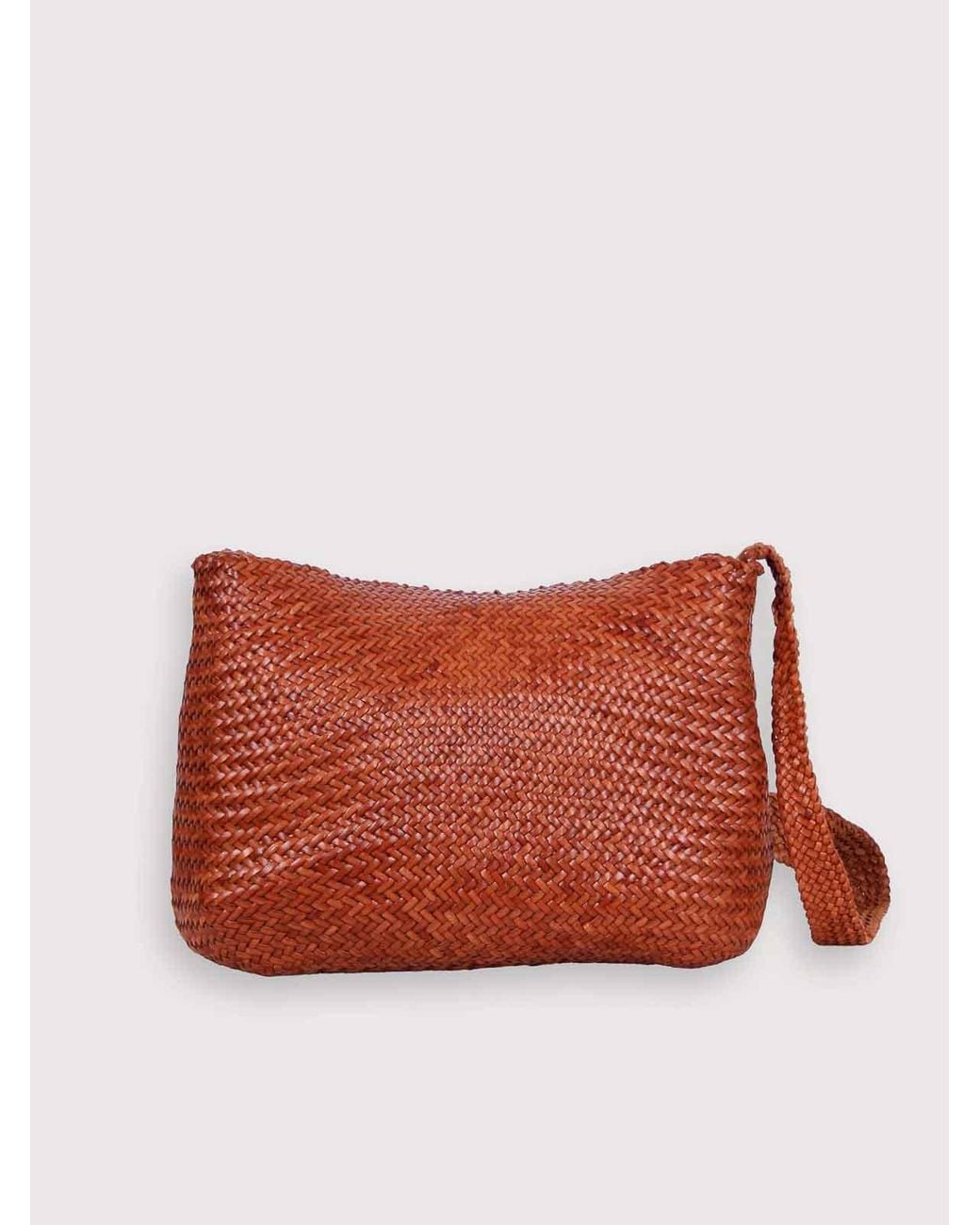 Dragon Diffusion Brown Mini Flat Handbag Gora