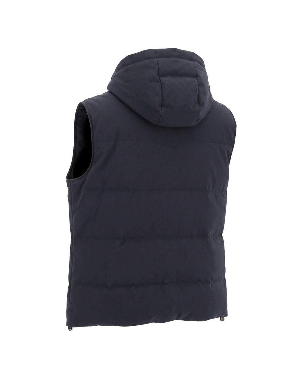 Montecore Blue Padded Vest for men