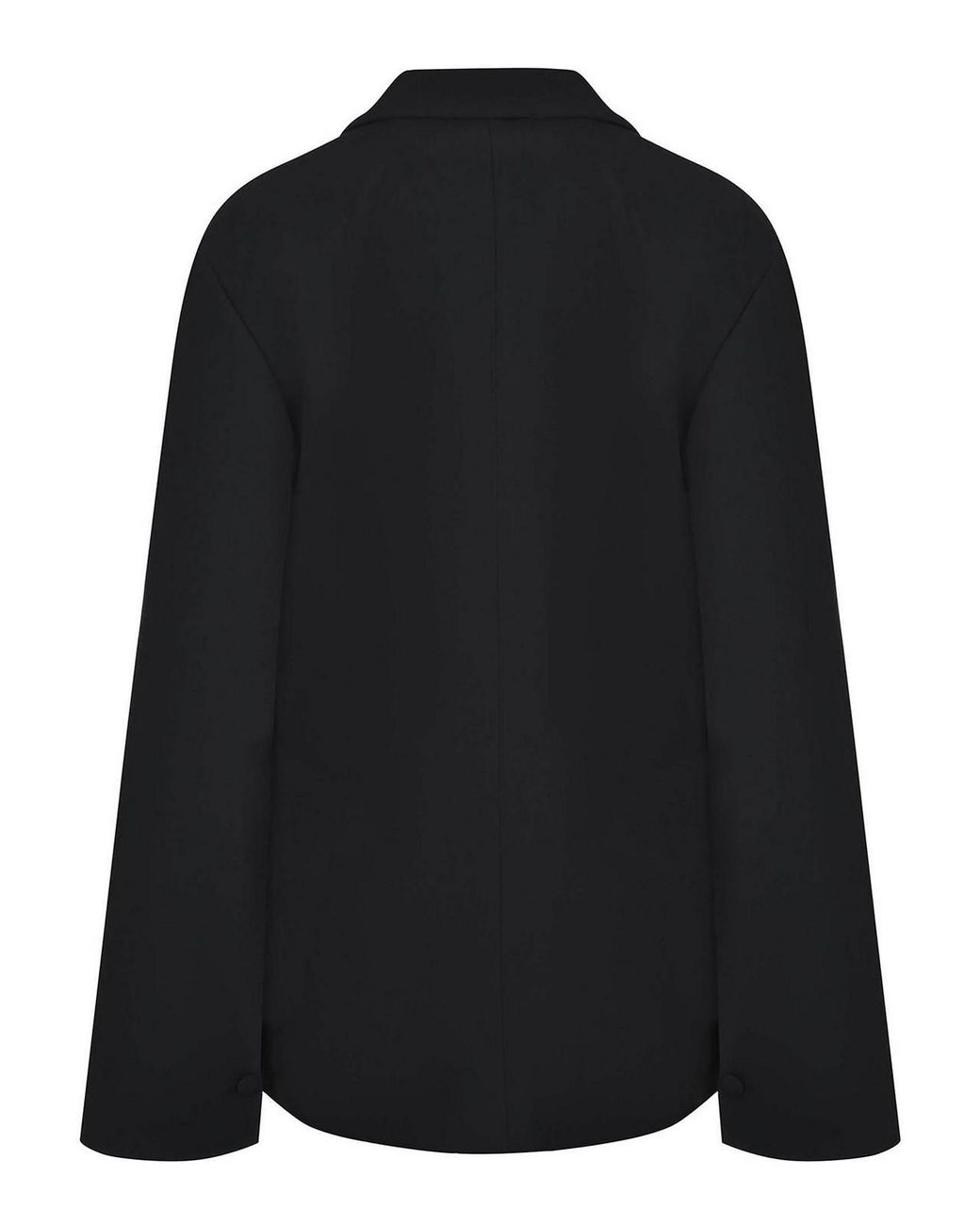 Alberta Ferretti Black Jacket Made Of A Viscose Blend