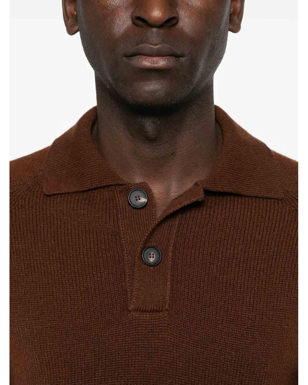 Tagliatore Brown T-Shirt for men