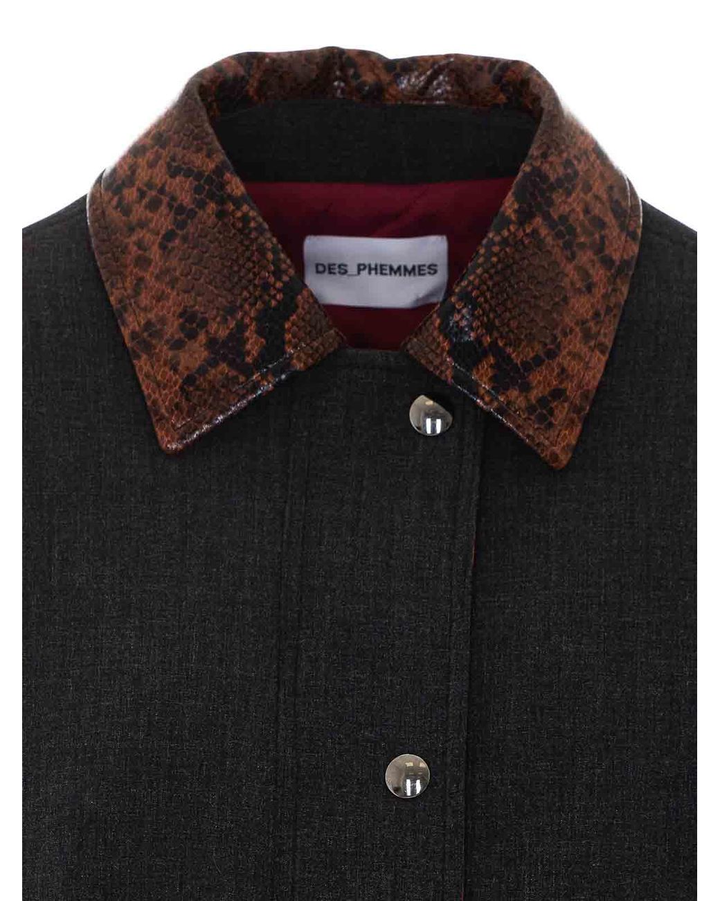 Des Phemmes Black Bomber
