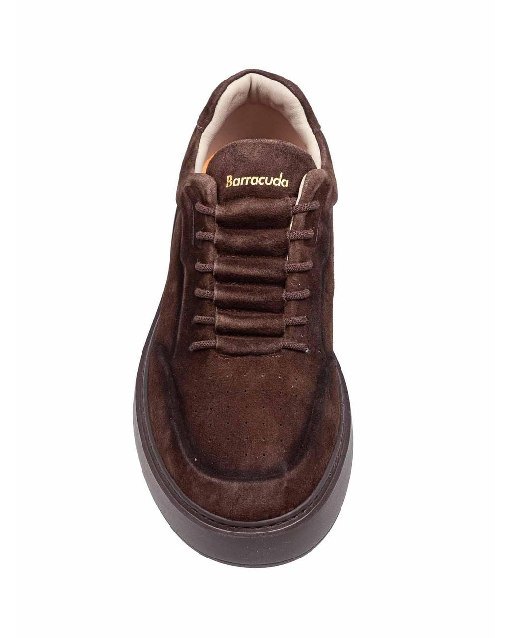 Barracuda Brown Phoenix Suede Sneakers Pepe for men