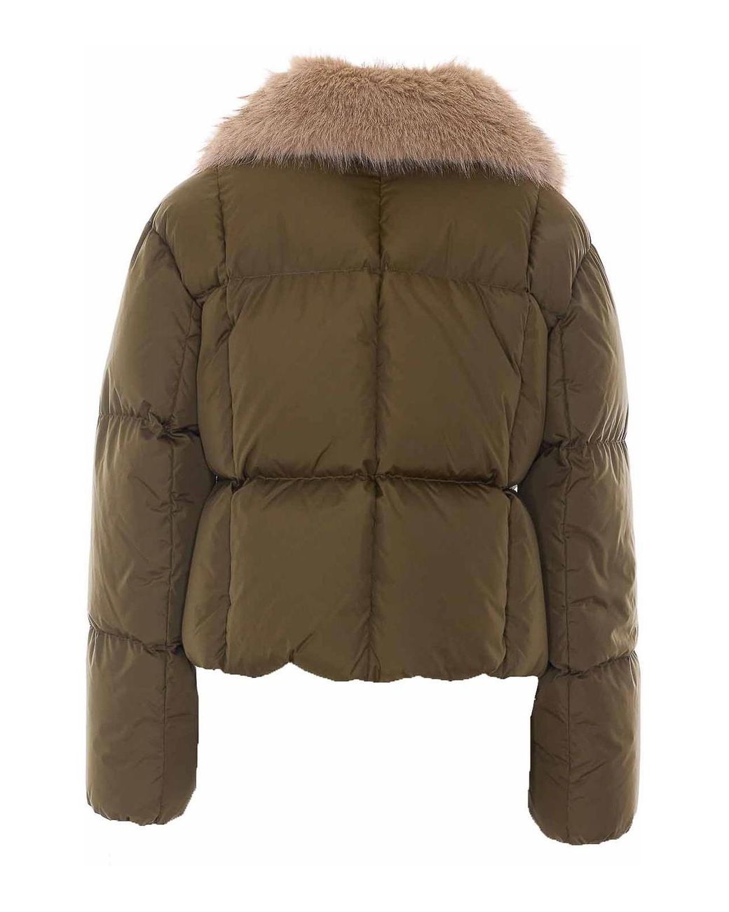Bomber Herno en coloris Green
