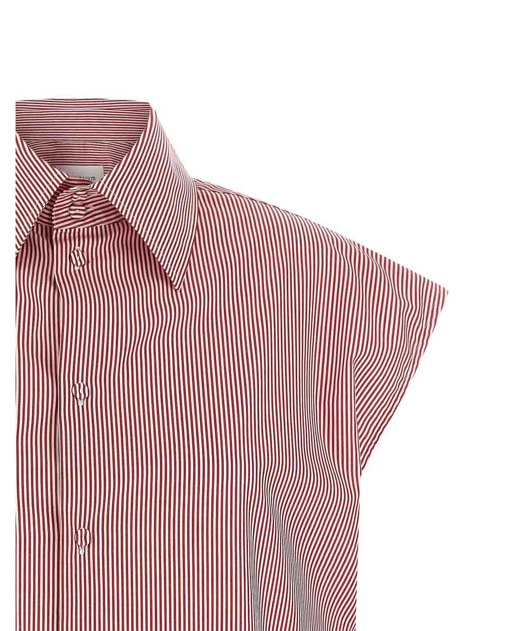 ARMARIUM Pink Shirt