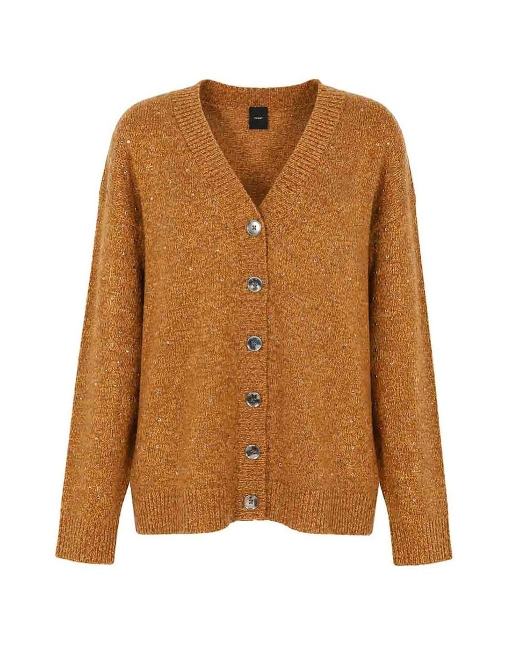 Pinko Brown Cardigan Marche