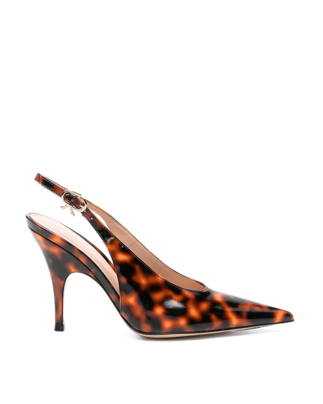 Gianvito Rossi Brown Pumps