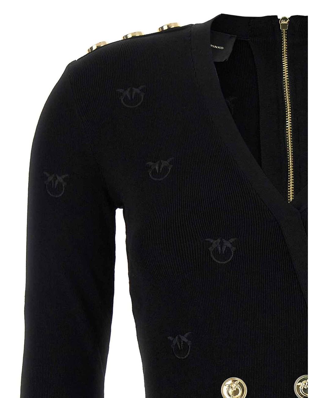 Pinko Black Drago Dress