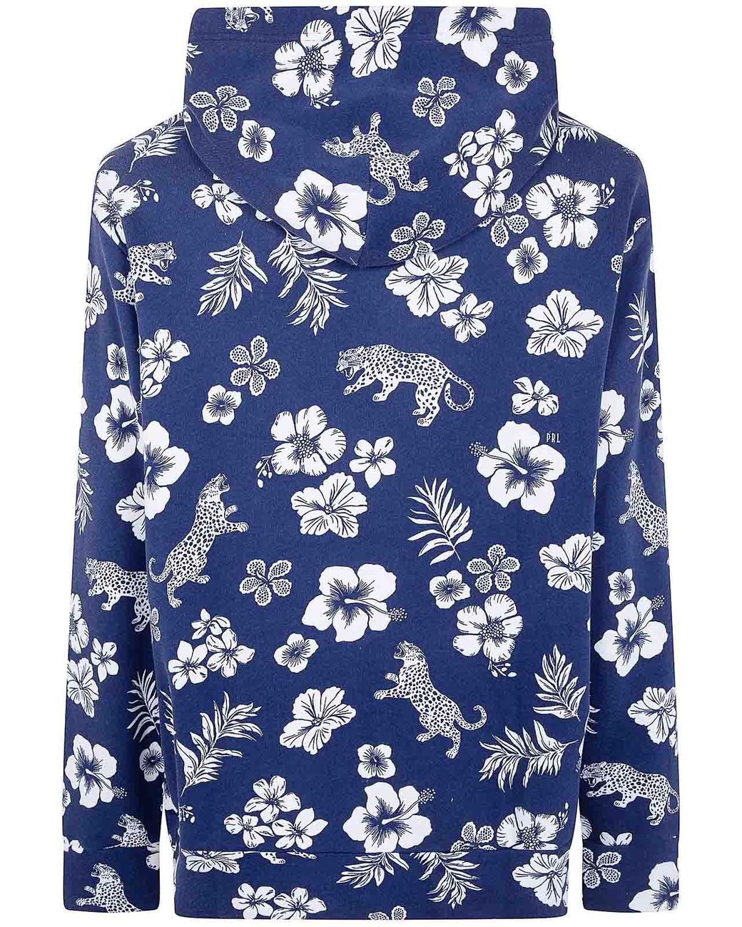 Polo Ralph Lauren Blue Hooded Long Sleeves Sweatshirt for men