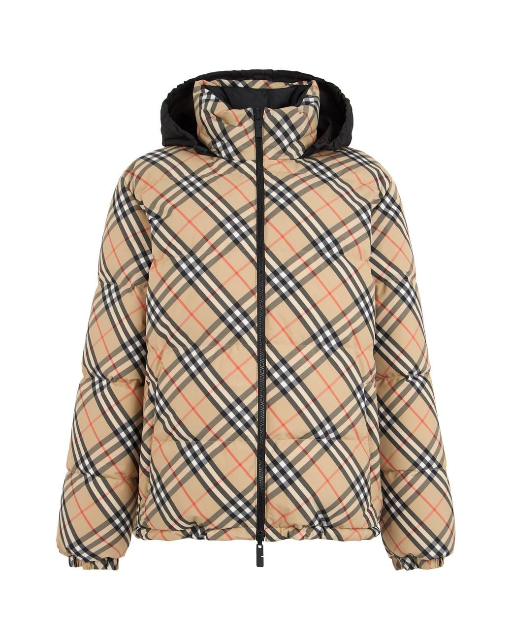 Burberry Brown Jacket With High Collar And Hood for men