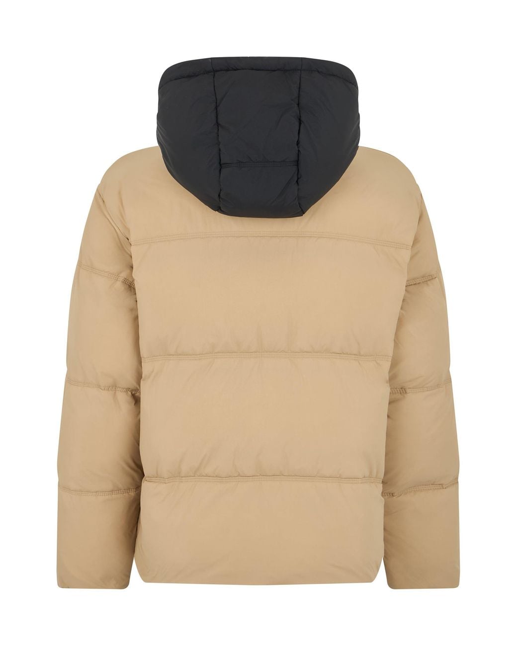 Boss Natural Padded Jacket for men