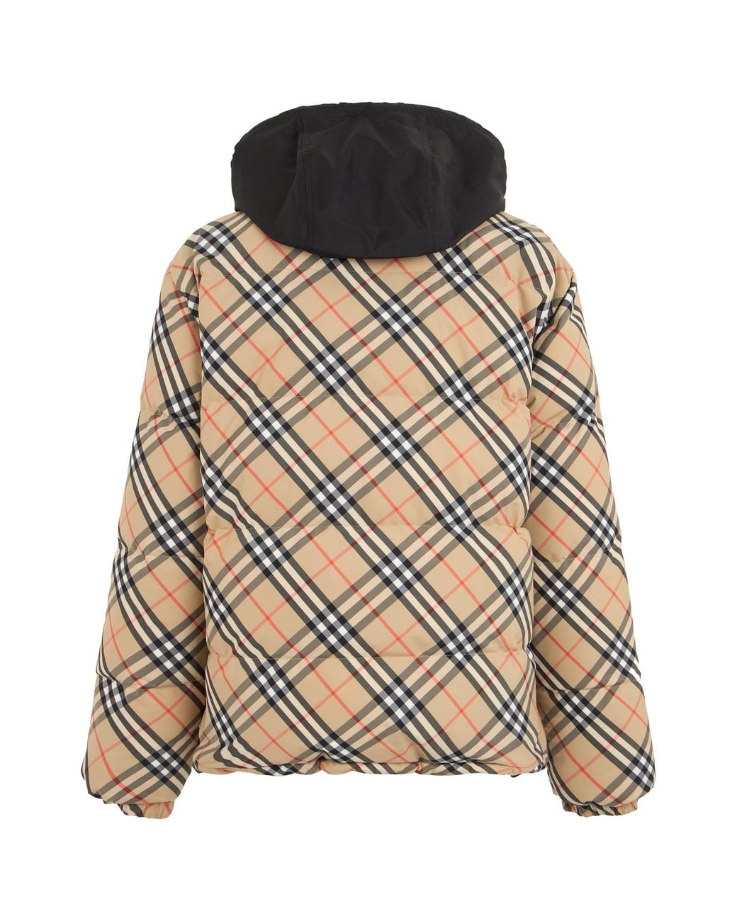 Burberry Brown Jacket With High Collar And Hood for men