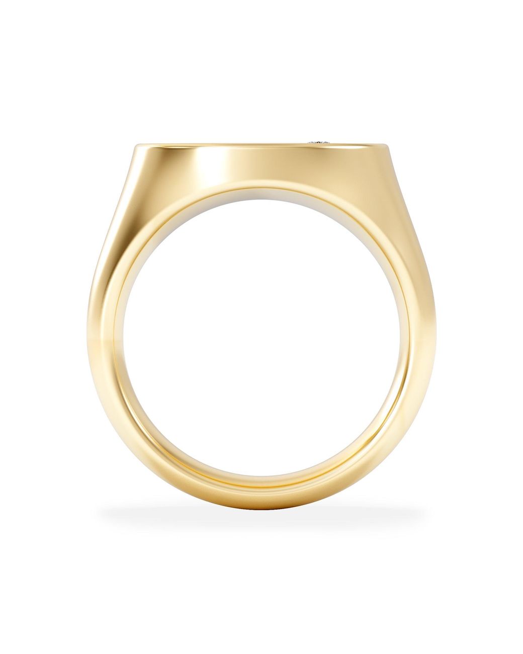 The Diamond Store Metallic Crest 0.03Ct Lab Diamond Round Signet Ring for men