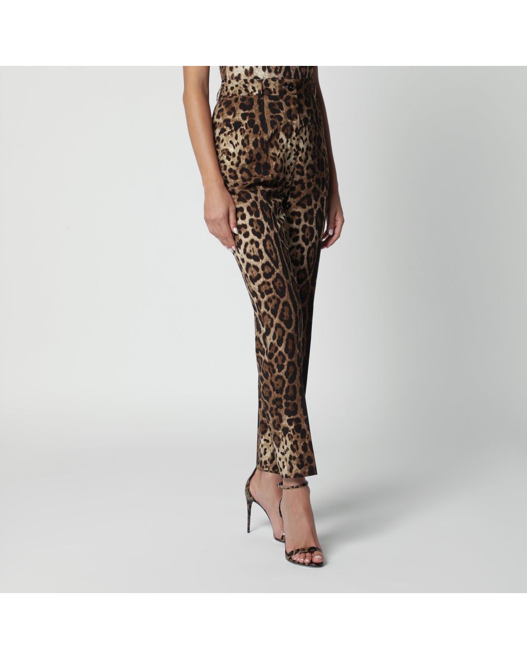 Dolce & Gabbana Brown Leopard-Print Stretch Wool Canvas Pants