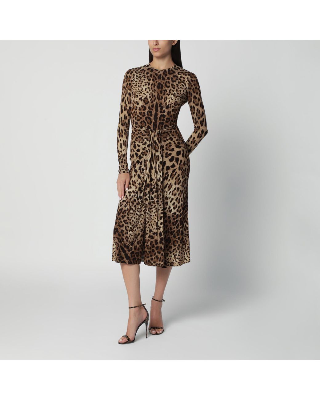 Dolce & Gabbana Brown Leopard-Print Viscose Jersey Dress