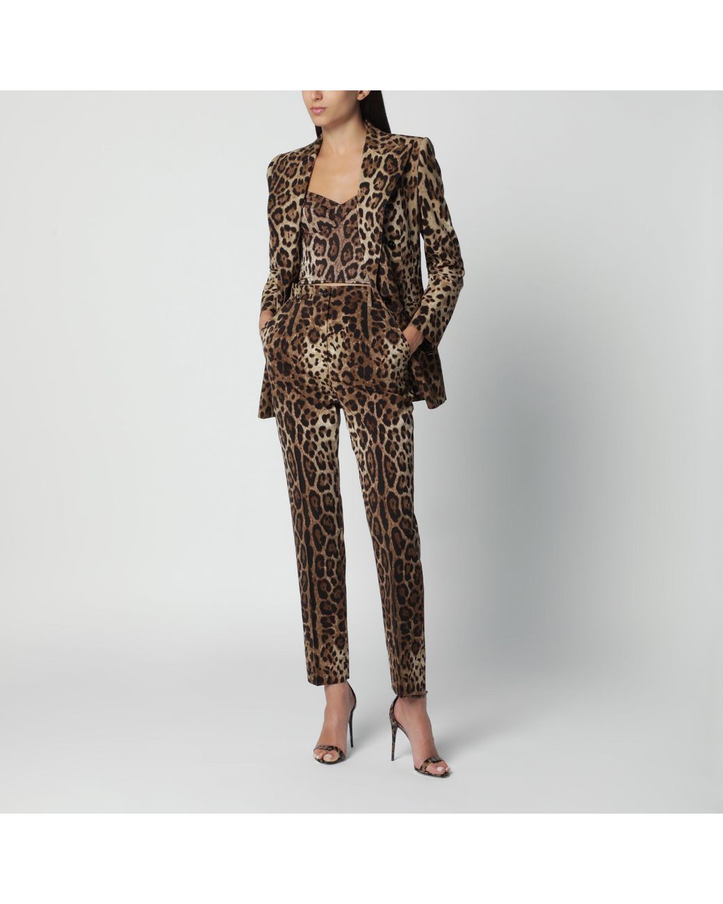 Dolce & Gabbana Brown Leopard-Print Stretch Wool Canvas Pants