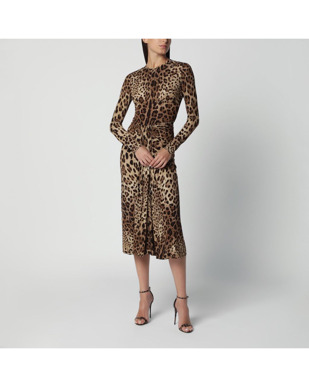 Dolce & Gabbana Brown Leopard-Print Viscose Jersey Dress