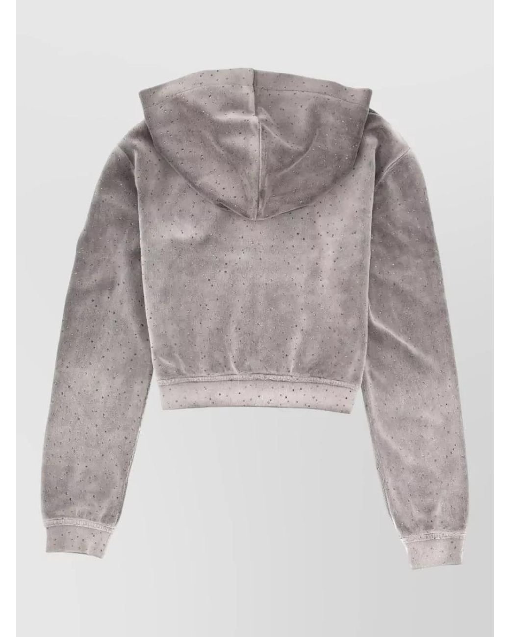 Alexander Wang Gray Cropped Hoodie