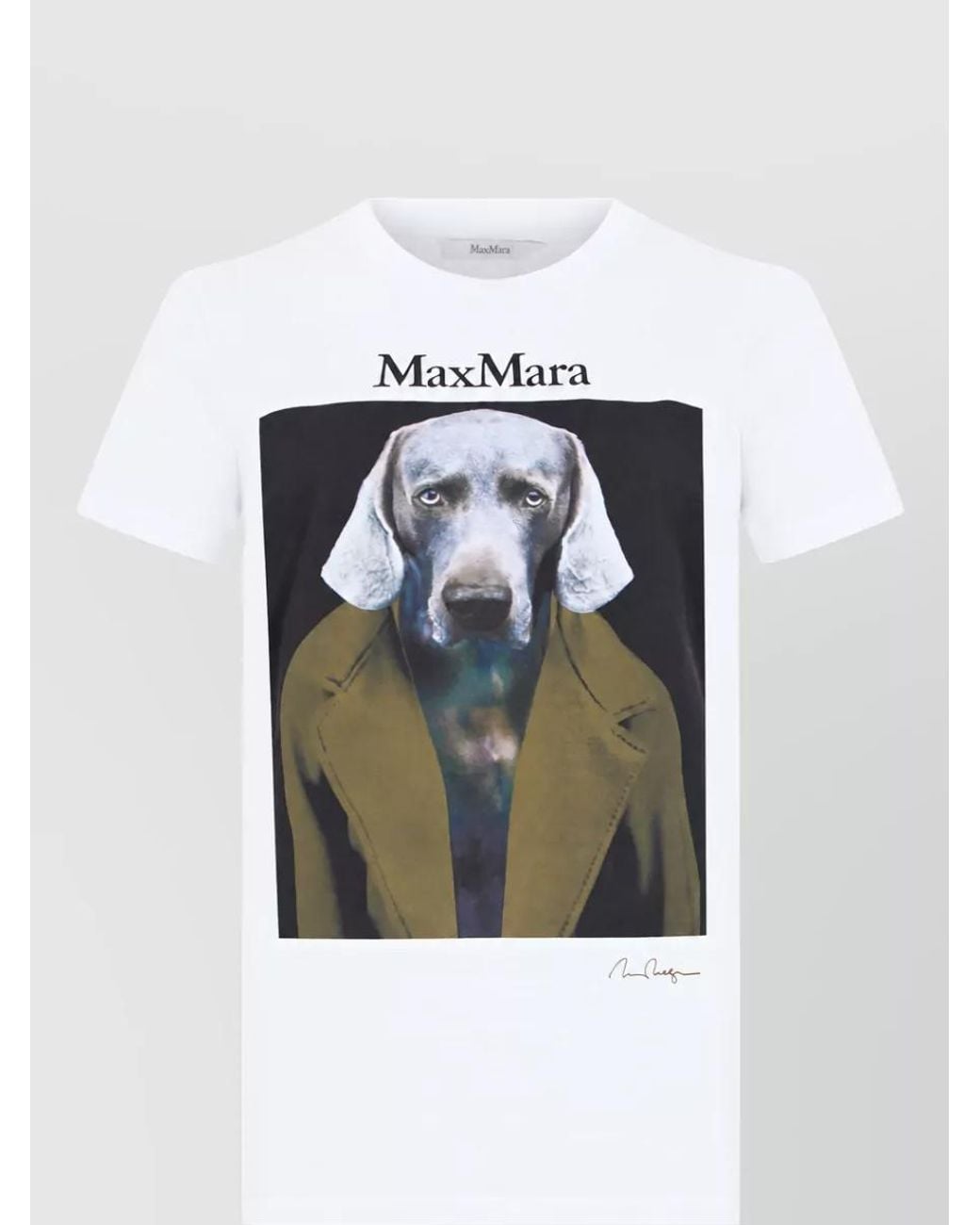 Max Mara Multicolor Printed Cotton Short-Sleeve T-Shirt