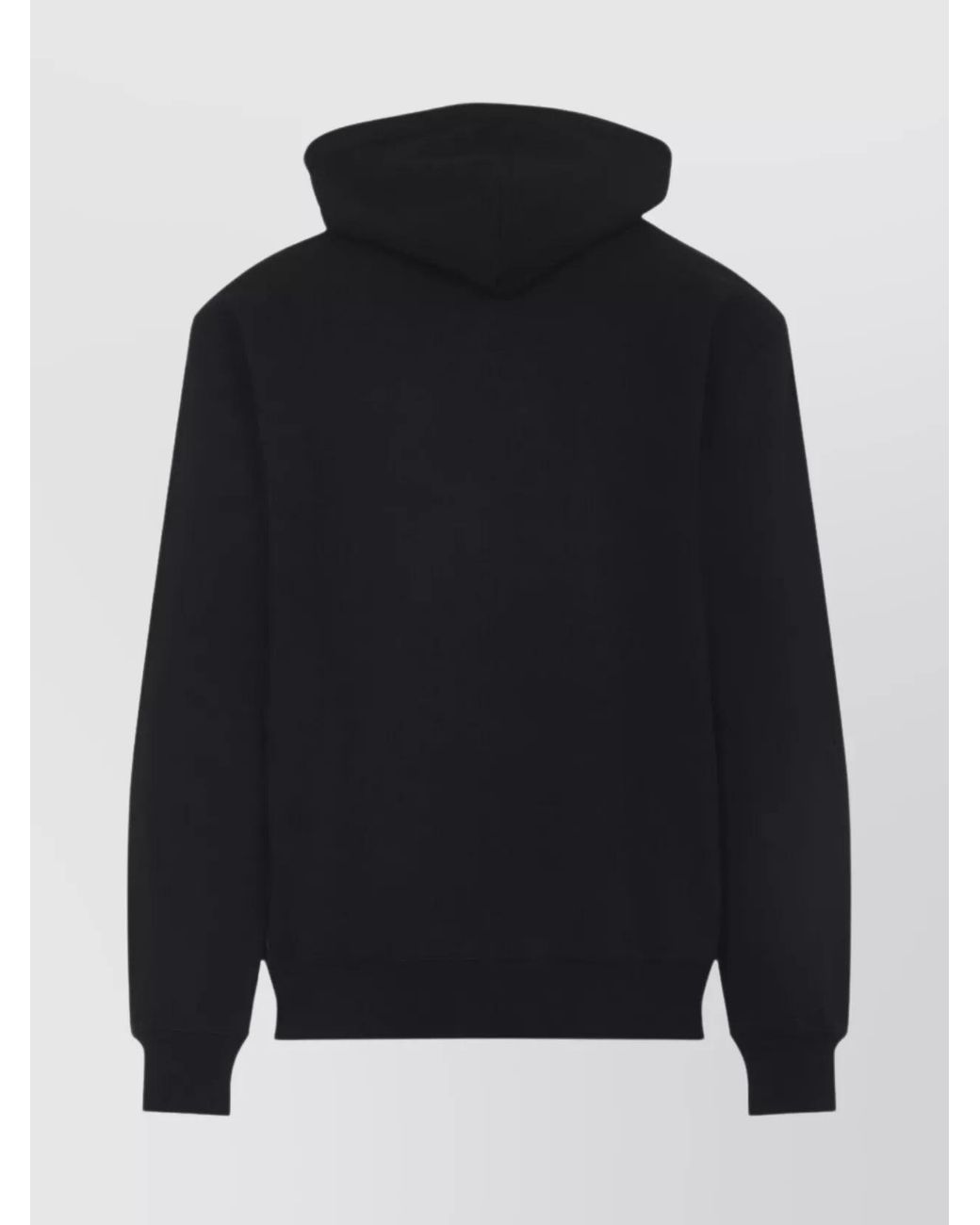 Carhartt Blue Cotton Hooded Wild Dog Hoodie for men