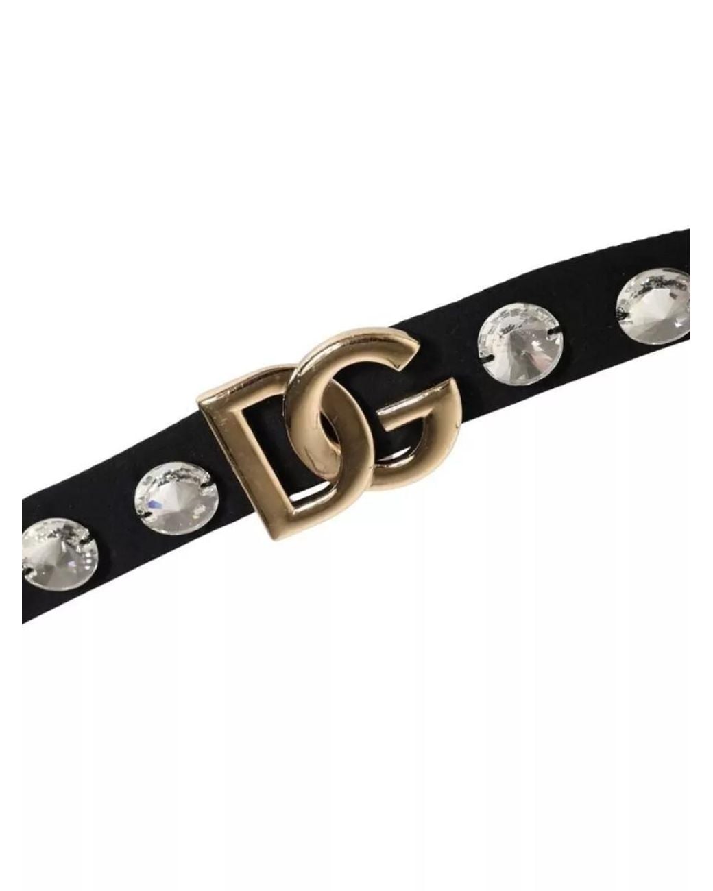 Dolce & Gabbana Black Crystal-Embellished Bikini Bottoms