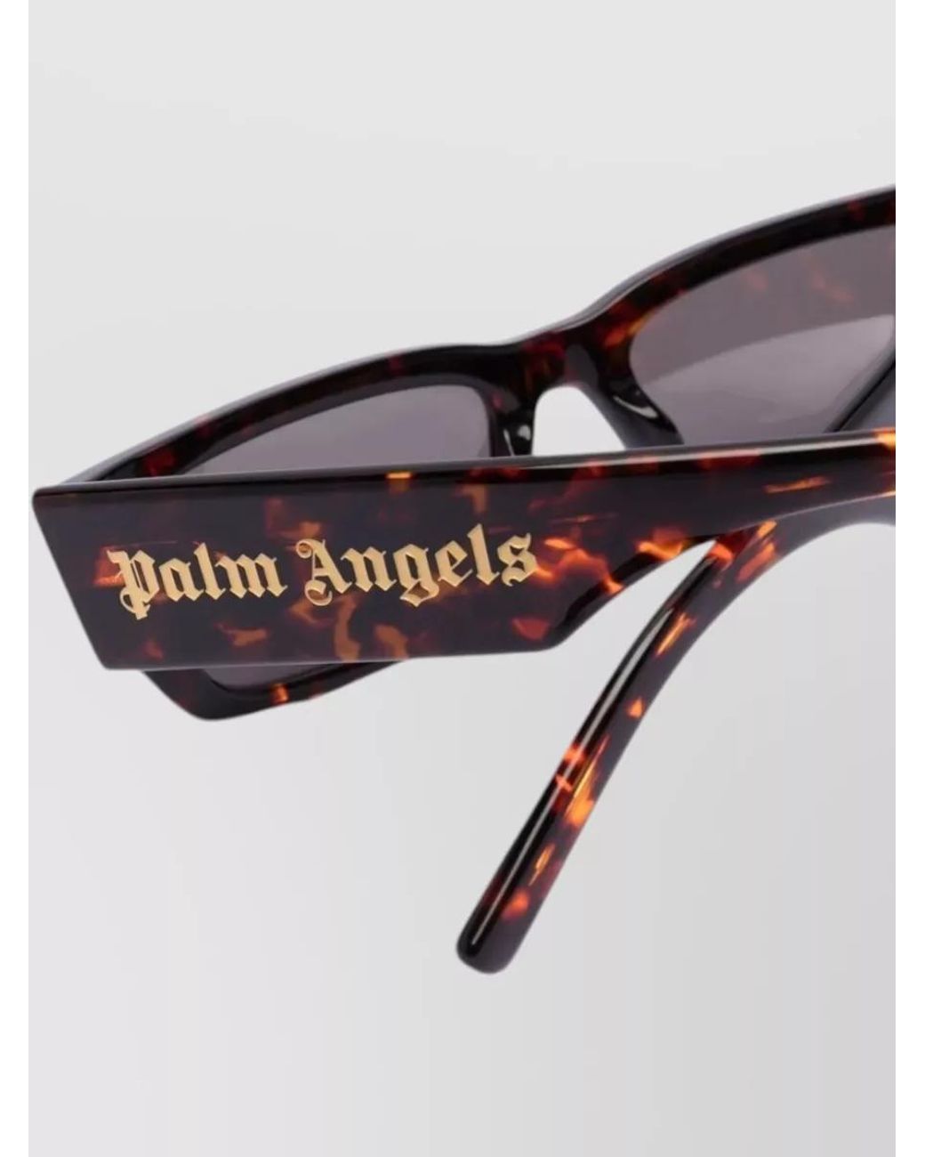 Palm Angels Brown Acetate Sunglasses