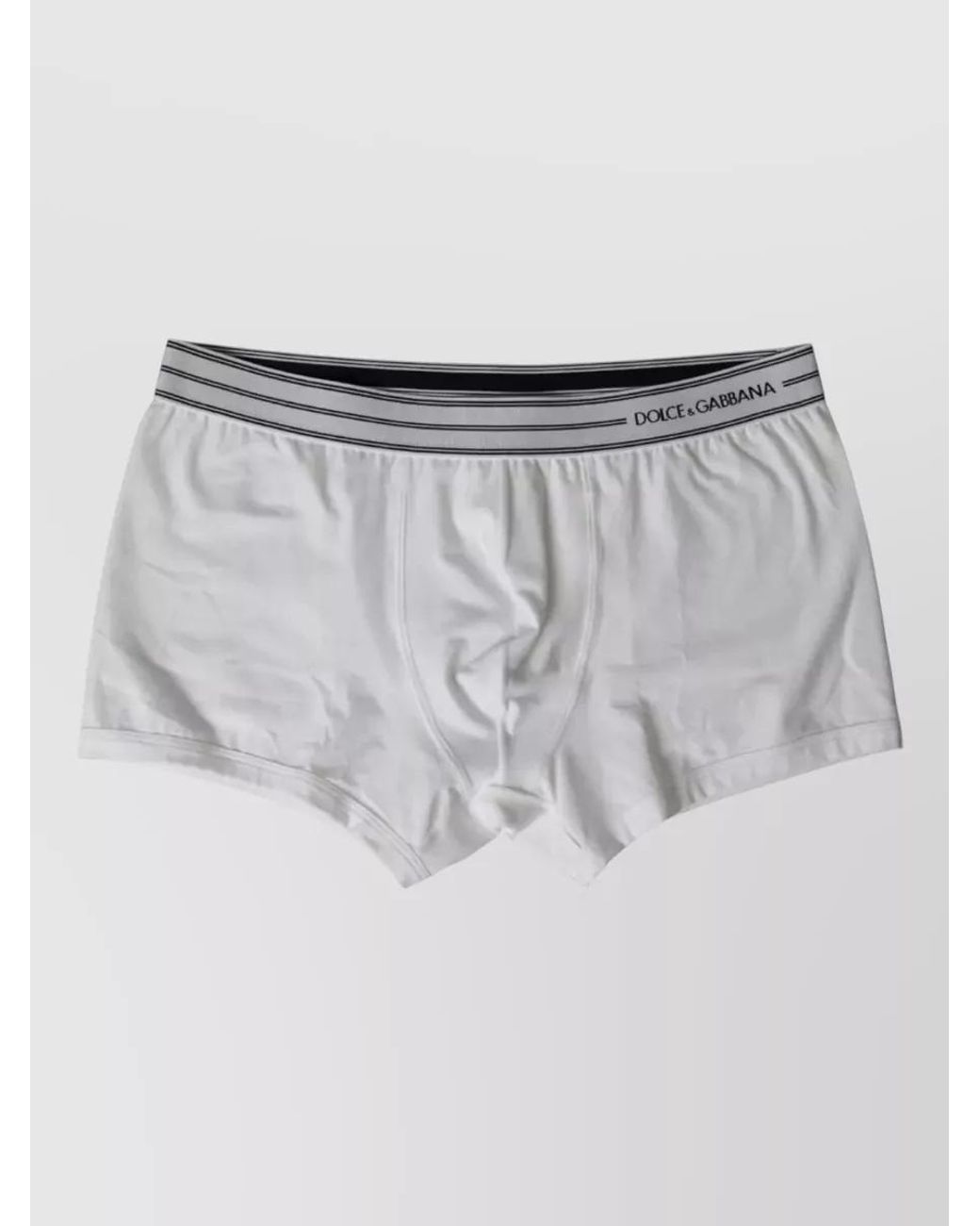 Dolce & Gabbana Gray Logo Lace Midi Underwear for men