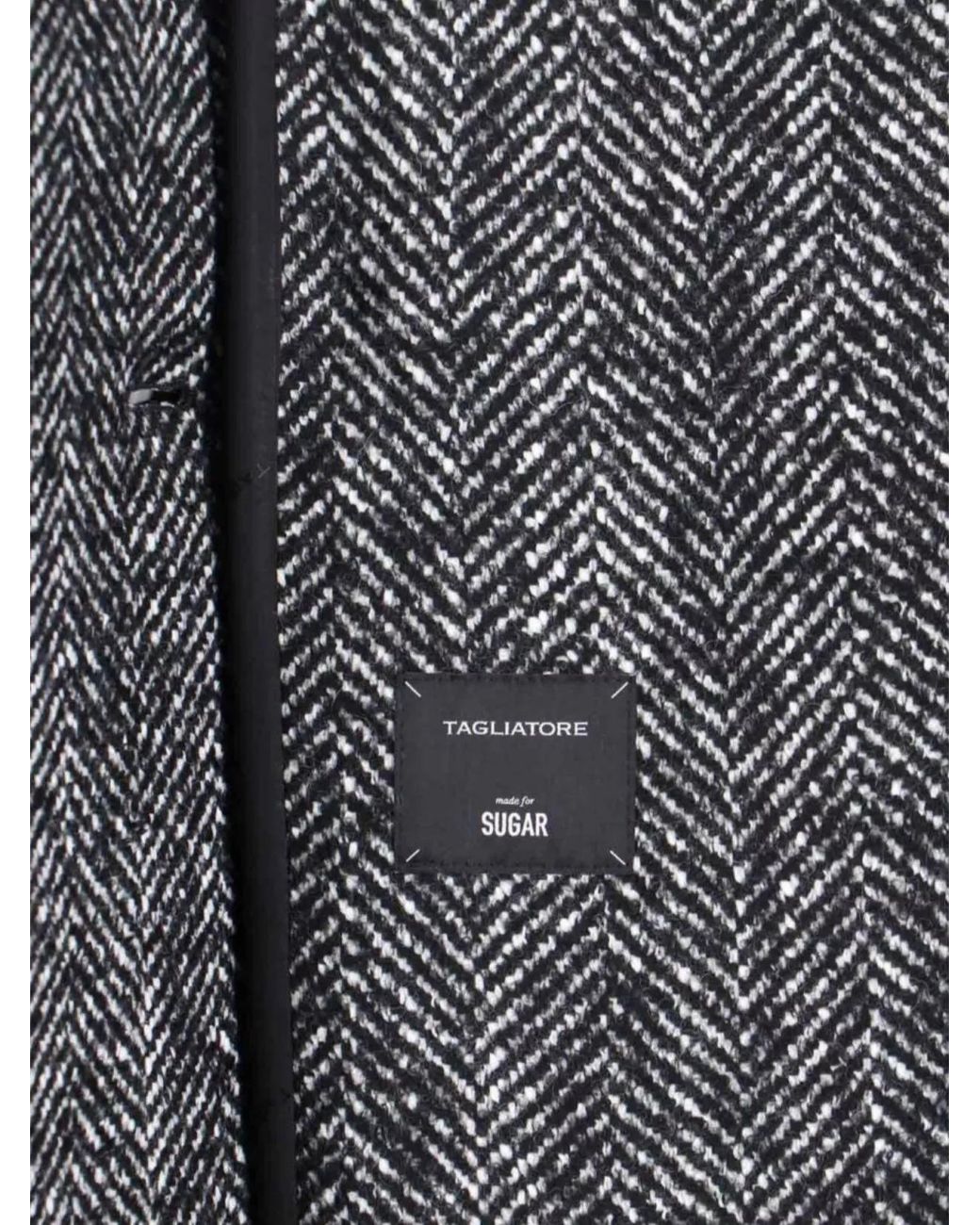 Tagliatore Gray Fitted Jacket