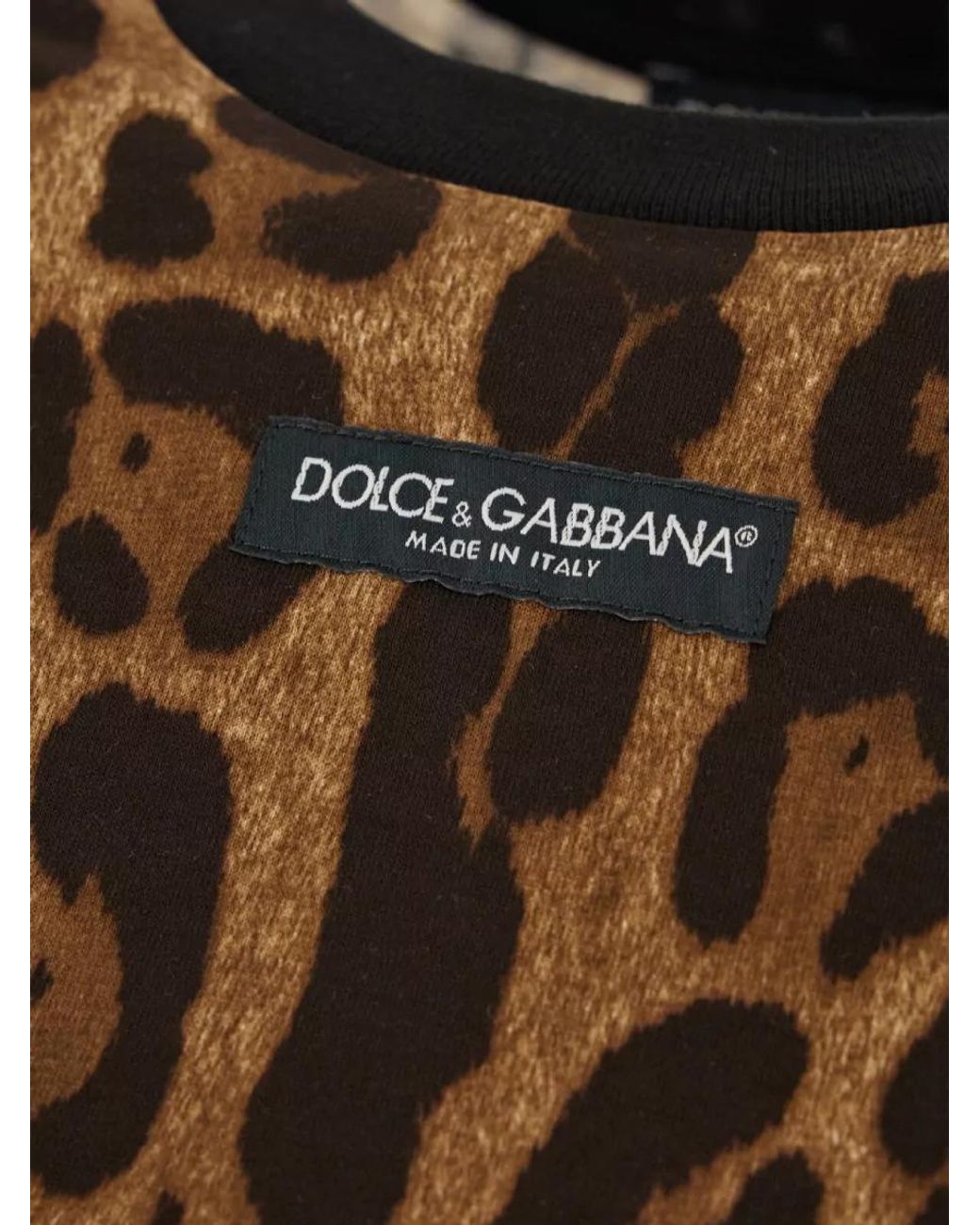 Dolce & Gabbana Brown Cotton Leopard-Print Cropped Slim-Fit T-Shirt