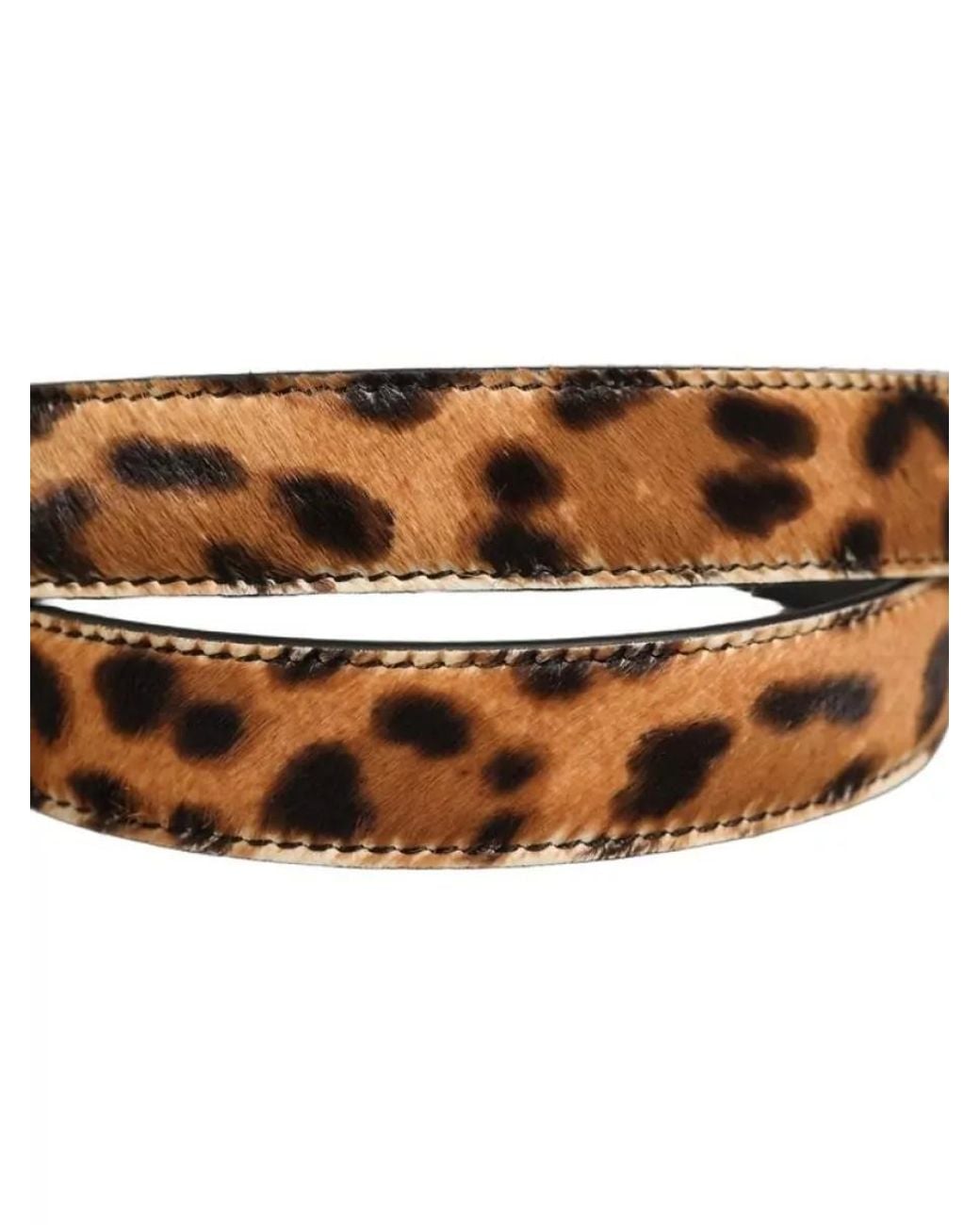 Dolce & Gabbana Multicolor Leopard Calf Hair Belt