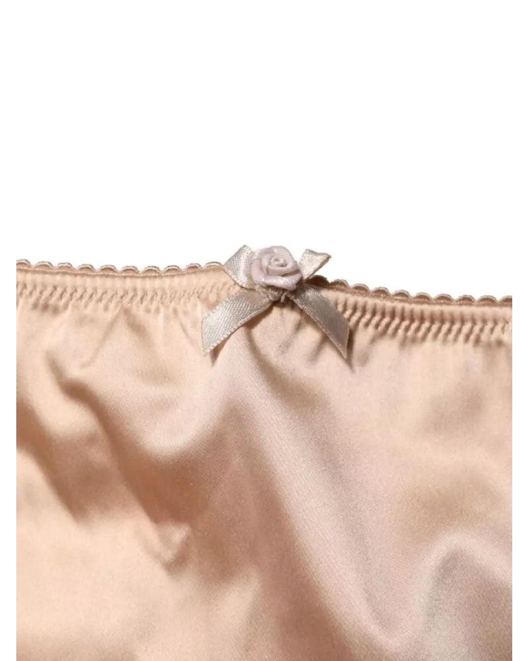 Dolce & Gabbana Natural Silk High-Waist Briefs