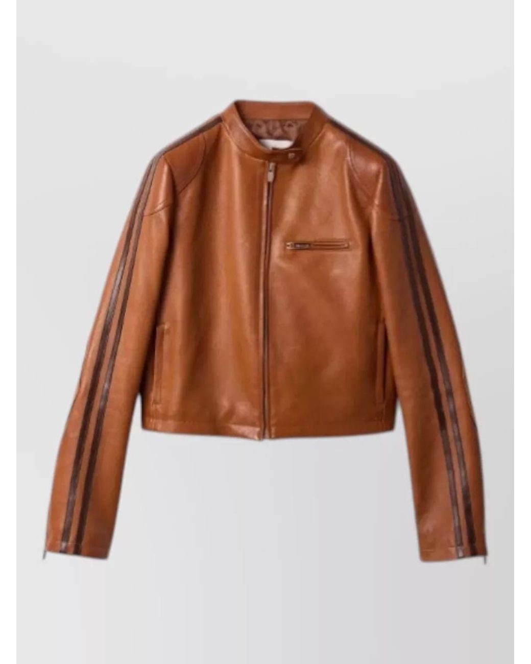 Miu Miu Brown Leather Jacket