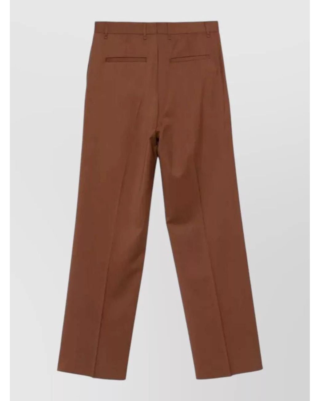Lardini Brown Tailored Pleated Trousers Drop Regular for men