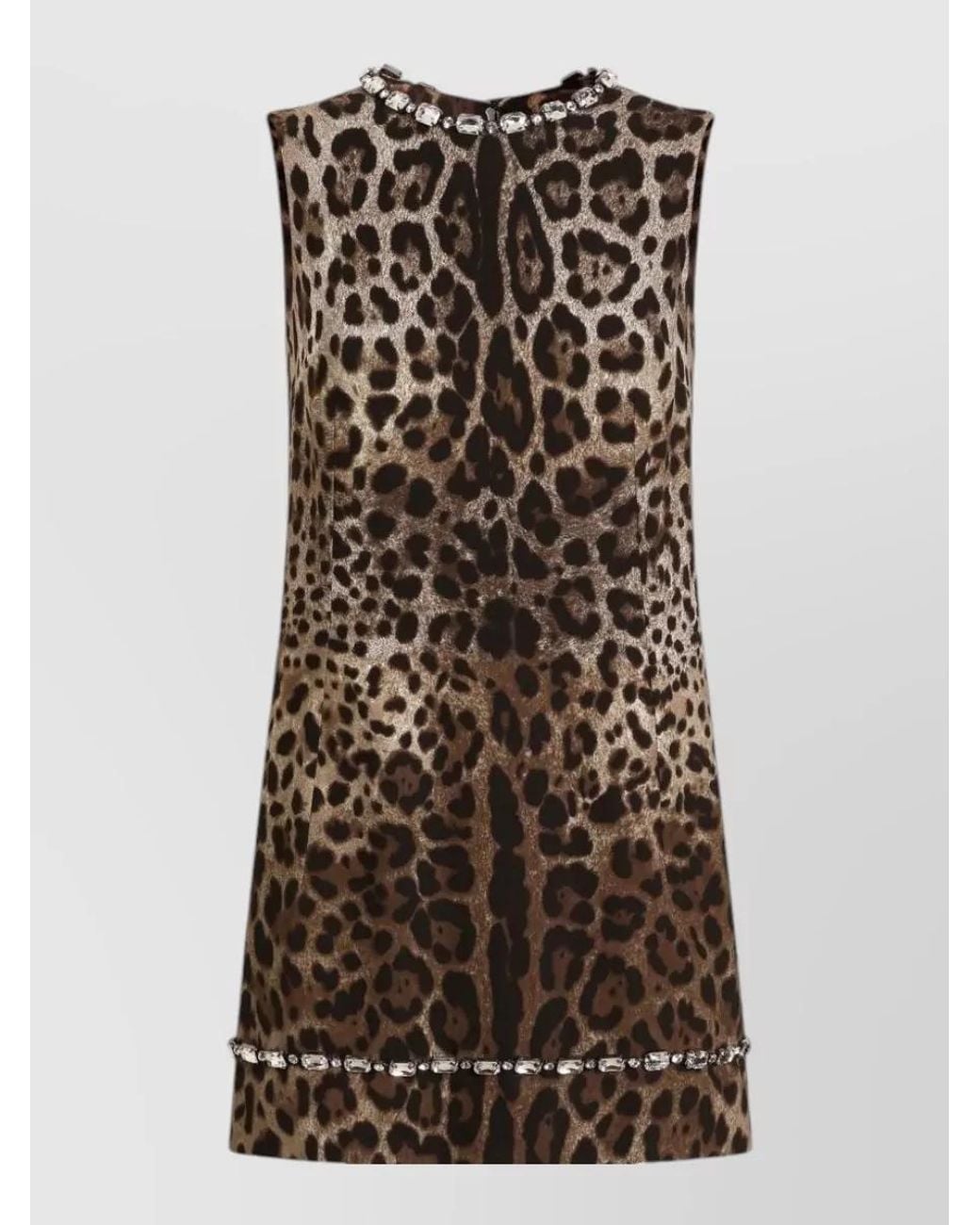 Dolce & Gabbana Brown Printed Mini Dress