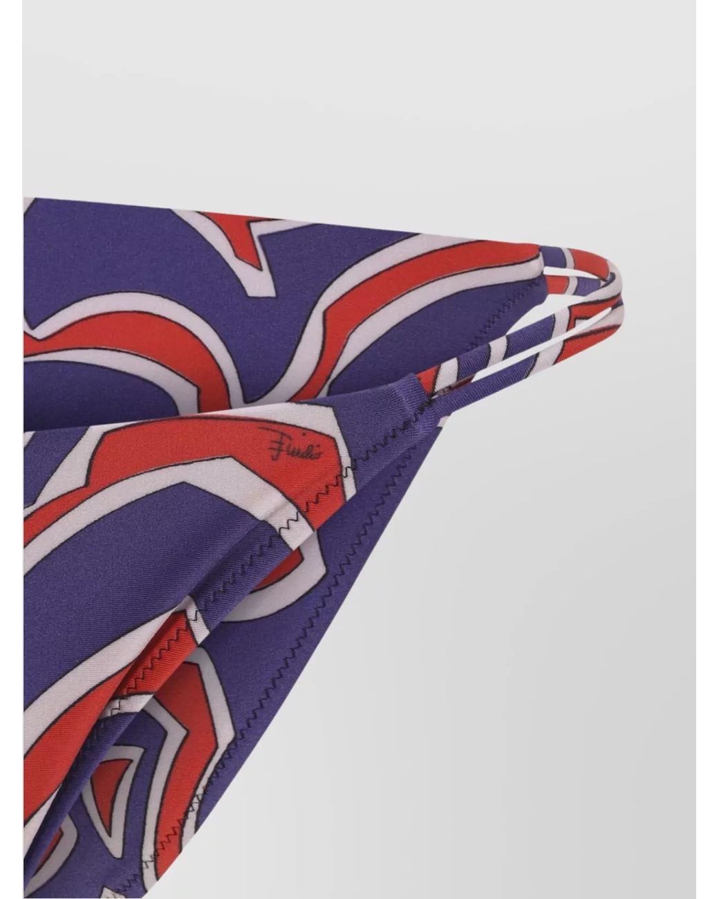 Emilio Pucci Blue Printed Bikini Briefs