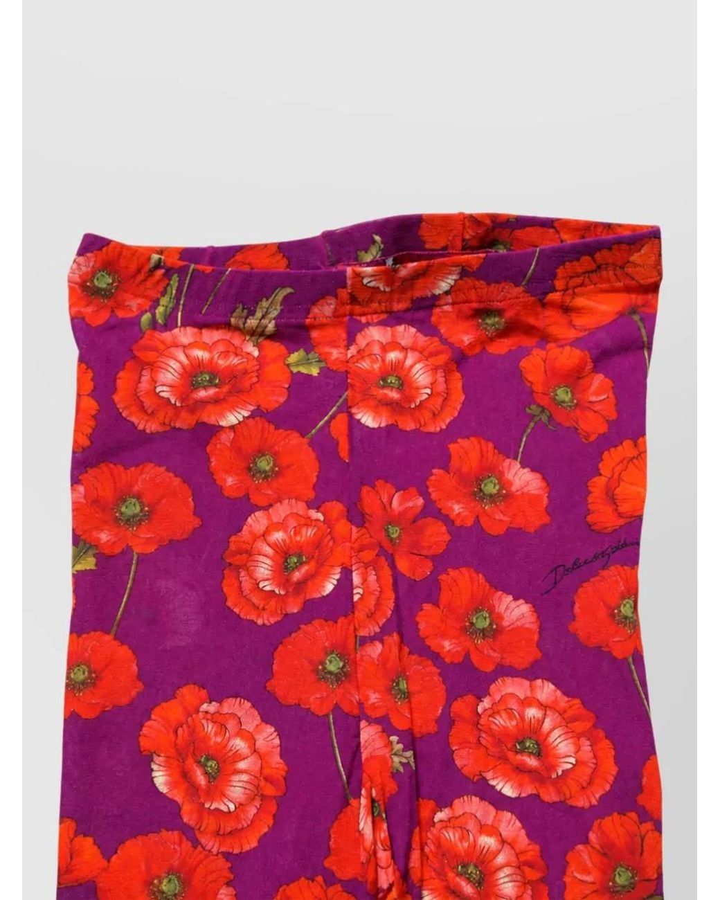 Dolce & Gabbana Red Floral Print Tights
