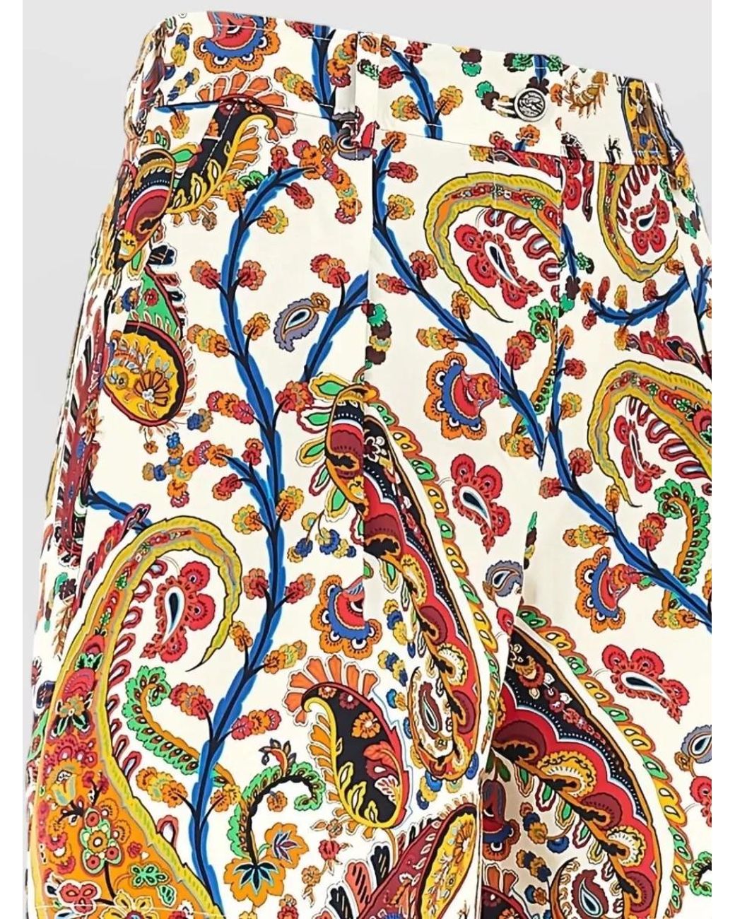 Etro Multicolor Printed Pleated Tailored Shorts