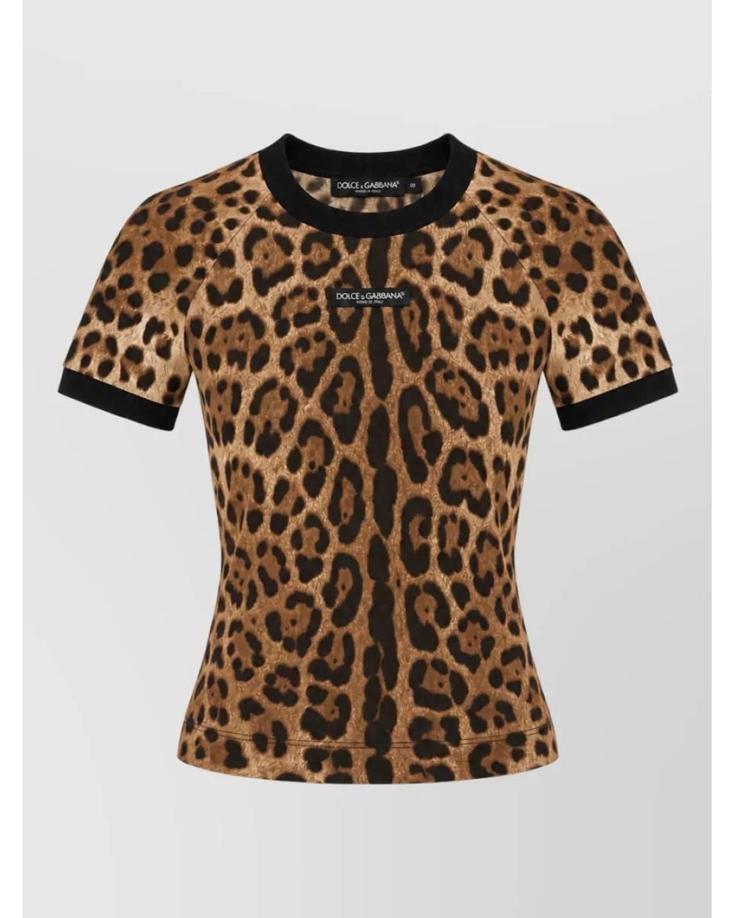 Dolce & Gabbana Multicolor Cotton T-Shirt