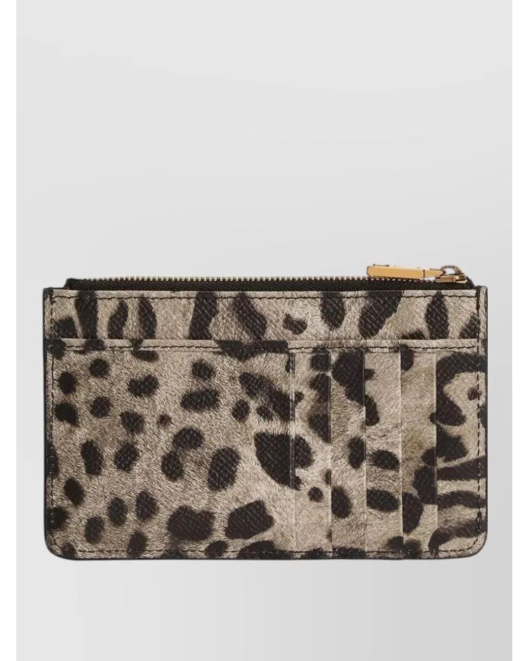 Dolce & Gabbana Gray Leopard-Print Calfskin Leather Cardholder