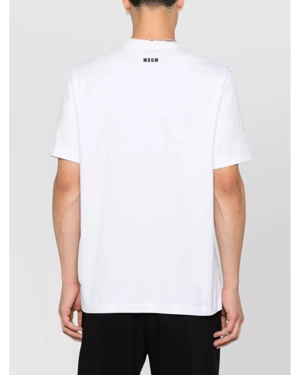 MSGM White Follow The Rabbit Cotton Regular-Fit T-Shirt for men