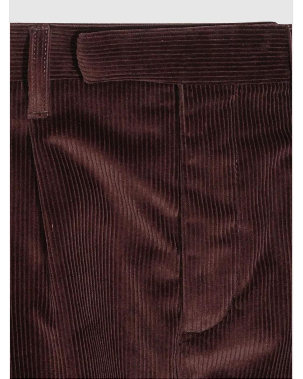 Burberry Brown Trousers _Co for men