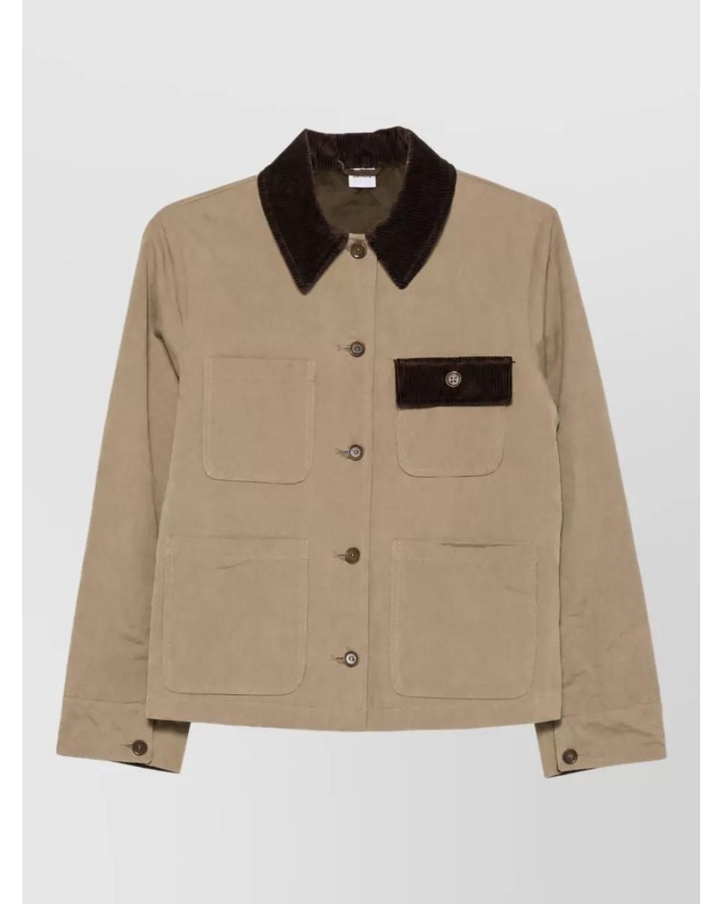 Aspesi Natural Single Breasted Coat